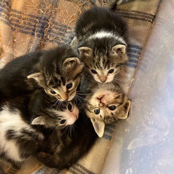 Meet your Posher, Christine - Picture 2 of 16